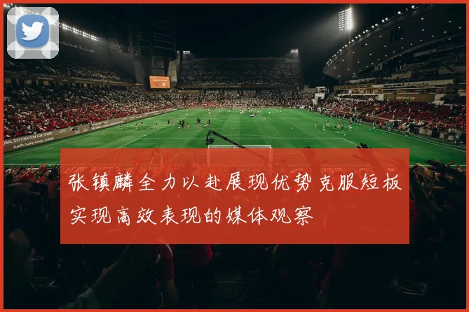 张镇麟全力以赴展现优势克服短板实现高效表现的媒体观察