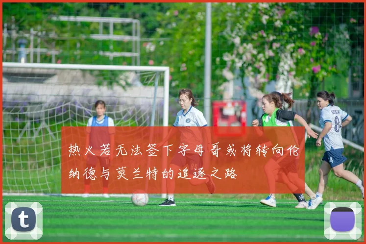 热火若无法签下字母哥或将转向伦纳德与莫兰特的追逐之路